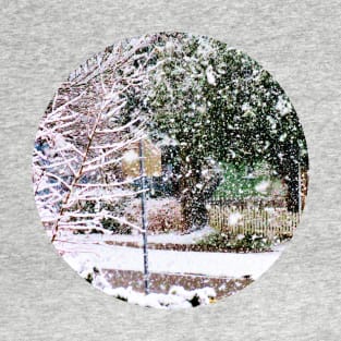 Winter Wonderland! T-Shirt